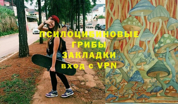 СК Россошь