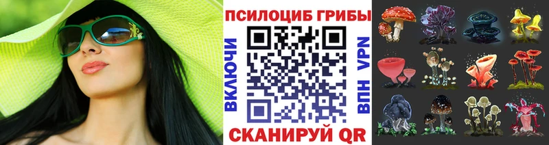 Псилоцибиновые грибы Psilocybe цены Солнечногорск