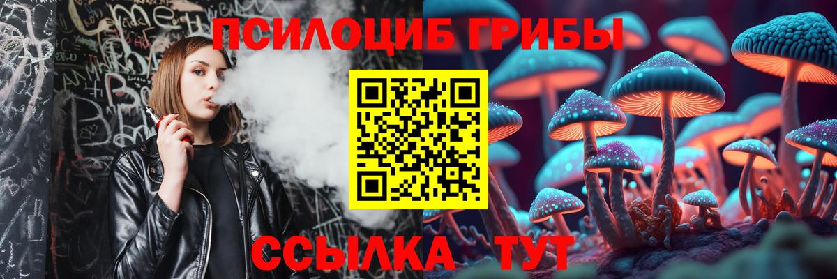 сколько стоит  Вход с VPN  Солнечногорск  Галлюциногенные грибы мицелий 