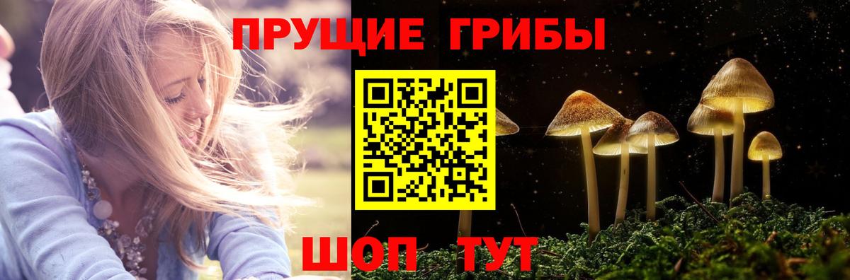 Псилоцибиновые грибы Magic Shrooms Солнечногорск